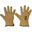 - - - 1
